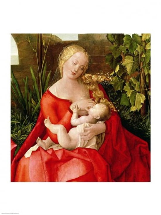 Virgin and Child Madonna with the Iris 1508 Canvas Art - Albrecht Durer (18 x 24)