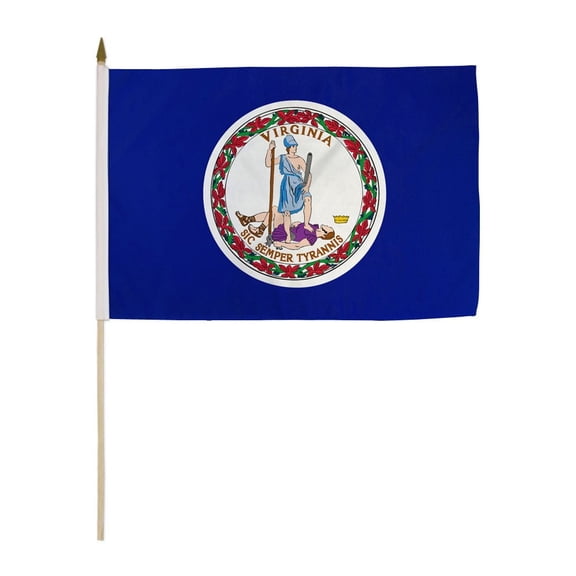 Virginia 12x18" Stick Flags