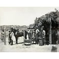 Virginia Blacksmith.Na Group Of Military Men Preparing To Shoe A Horse