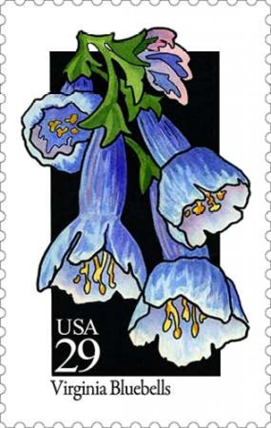 Virginia Bluebells Canvas Art - US POSTAL SERVICE (12 x 18)