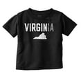 thumbnail image 1 of Virginia Funny Pun Tourist Souvenir Toddler Boy Girl T Shirt Infant Toddler Brisco Brands 6M, 1 of 6