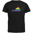 thumbnail image 1 of Virginia LGBT Gay Pride Rainbow Black Adult T-Shirt - Small, 1 of 1
