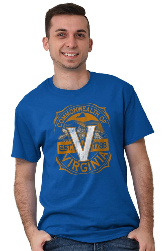 Virginia Mountain Range Cool VA Pride Men's Graphic T Shirt Tees Brisco Brands M
