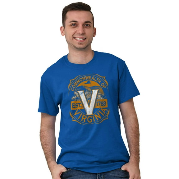 Virginia Mountain Range Cool VA Pride Men's Graphic T Shirt Tees Brisco Brands S