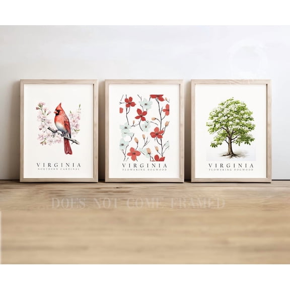 Virginia State Symbols Poster Northern Cardinal Dogwood and Flower Wall Art Decor Set 3