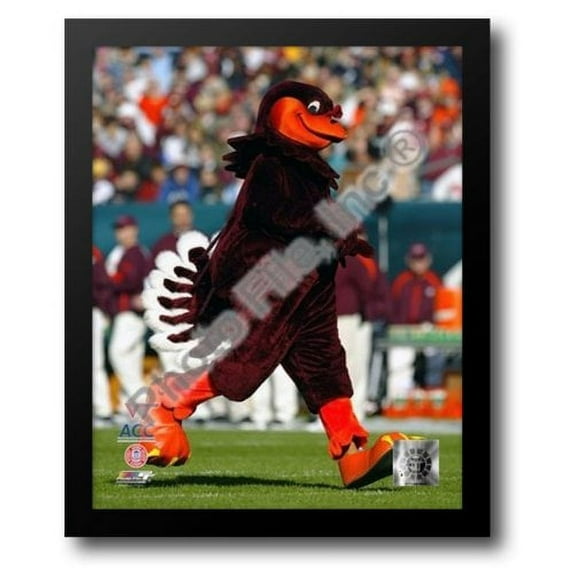 Virginia Tech - Hokie Bird Mascot, 2003 12x14 Framed Art Print