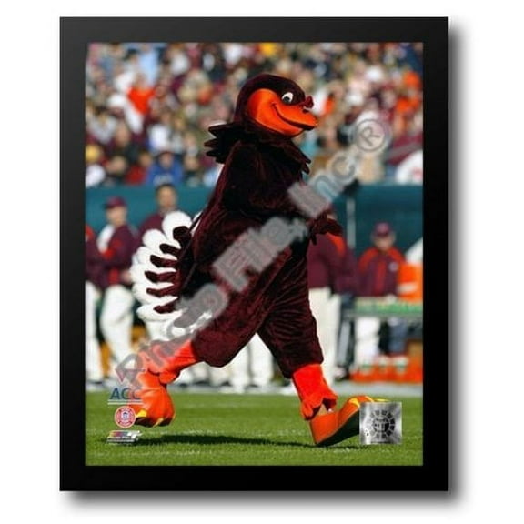 Virginia Tech - Hokie Bird Mascot, 2003 12x14 Framed Art Print