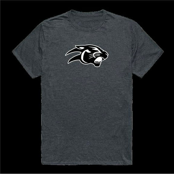 Virginia Union University Panthers Cinder College T-Shirt, Heather Charcoal - Extra Large