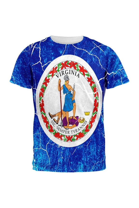 Virginia Vintage Distressed State Flag All Over Mens T Shirt Multi SM