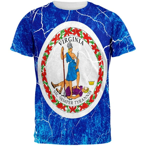 Virginia Vintage Distressed State Flag All Over Mens T Shirt Multi X-LG