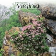 thumbnail image 1 of Virginia Wild & Scenic | 2024 12x24" (Hanging) Wall Calendar | BrownTrout, 1 of 8
