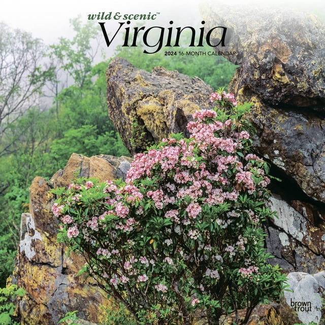 Virginia Wild & Scenic | 2024 12x24" (Hanging) Wall Calendar | BrownTrout