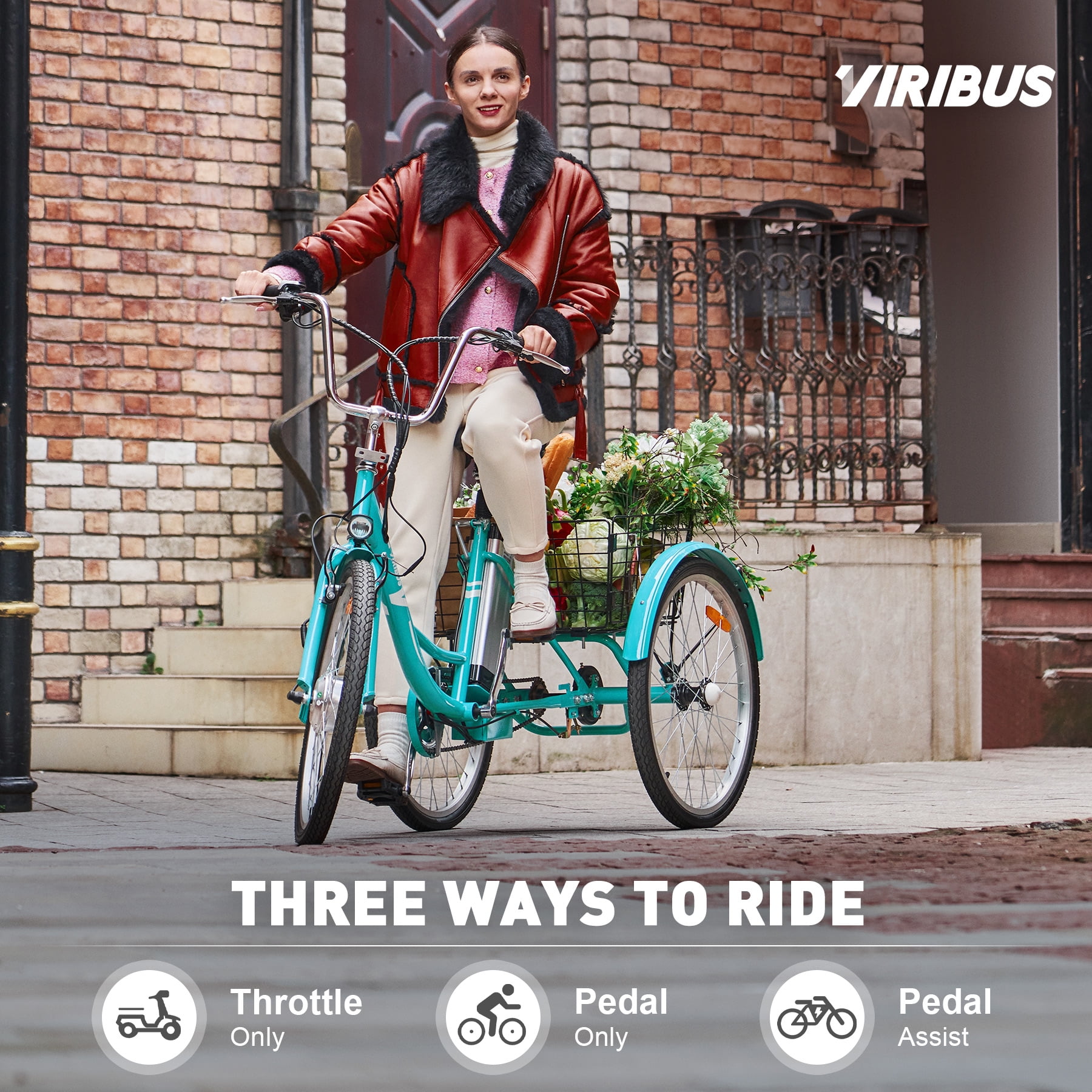 Viribus 24 Inch Electric Tricycle for Adults with 250W Motor 36V