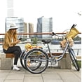 thumbnail image 1 of Viribus 3-Wheeled Adult Tricycle with Foldable Basket, 26 In. Wheels, for Men and Women, Cruise Bike, Exercise Bike for Recreation and Shopping, Water-Proof Bag and Classic Bicycle bell, 1 of 10