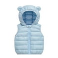 thumbnail image 1 of Virmaxy Toddler Baby Puffer Hooded Vest Cute Bear Ears With Hood Solid Color Long Sleeve Zip Up Waistcoat For Girls And Boys Light Blue 6-9 Months, 1 of 6