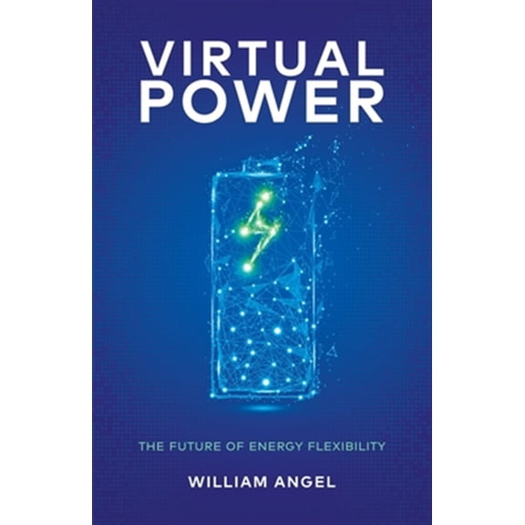 Virtual Power: The Future of Energy Flexibility