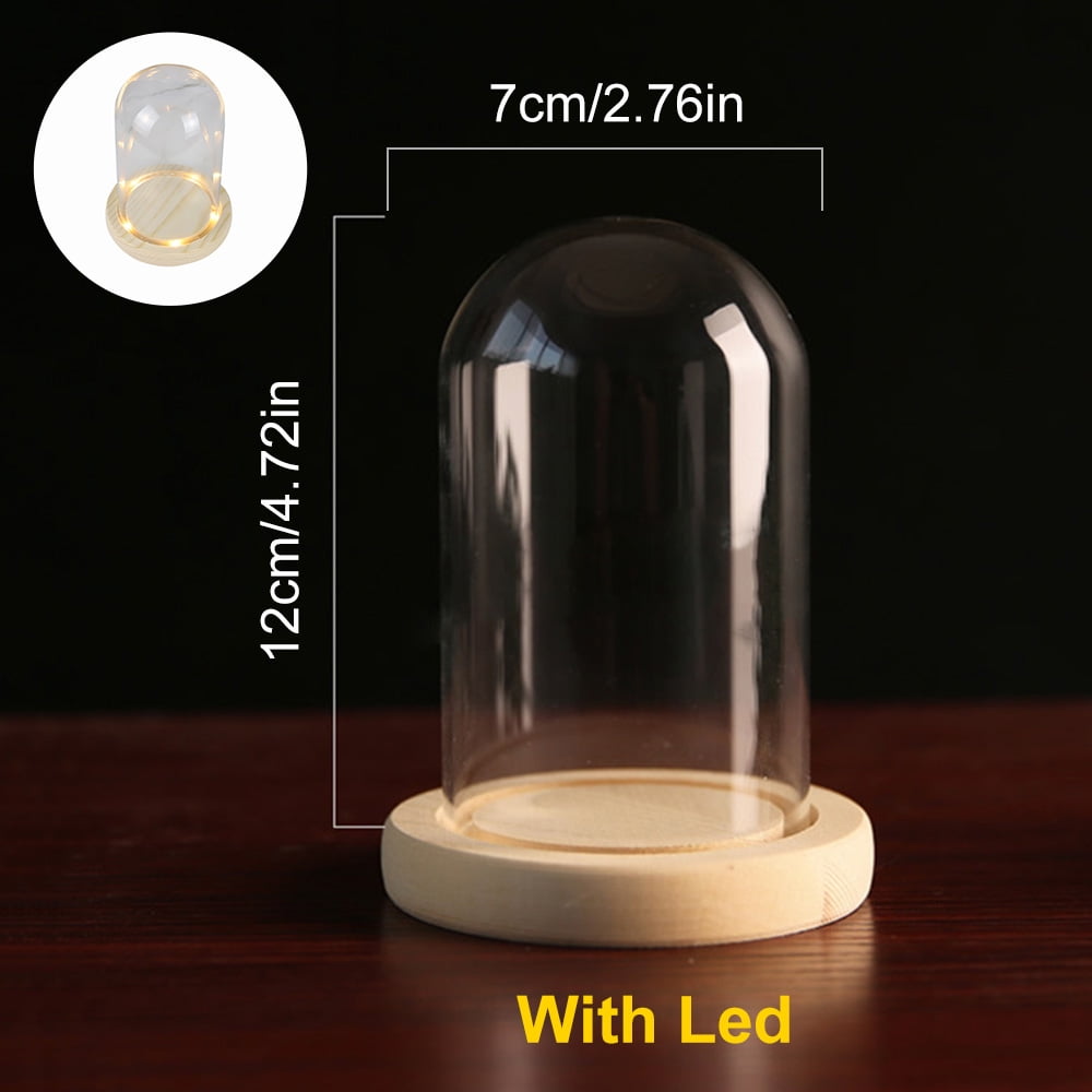 Virwir Clear Glass Cloche Dome Bell Jar Display Case with Wooden LED