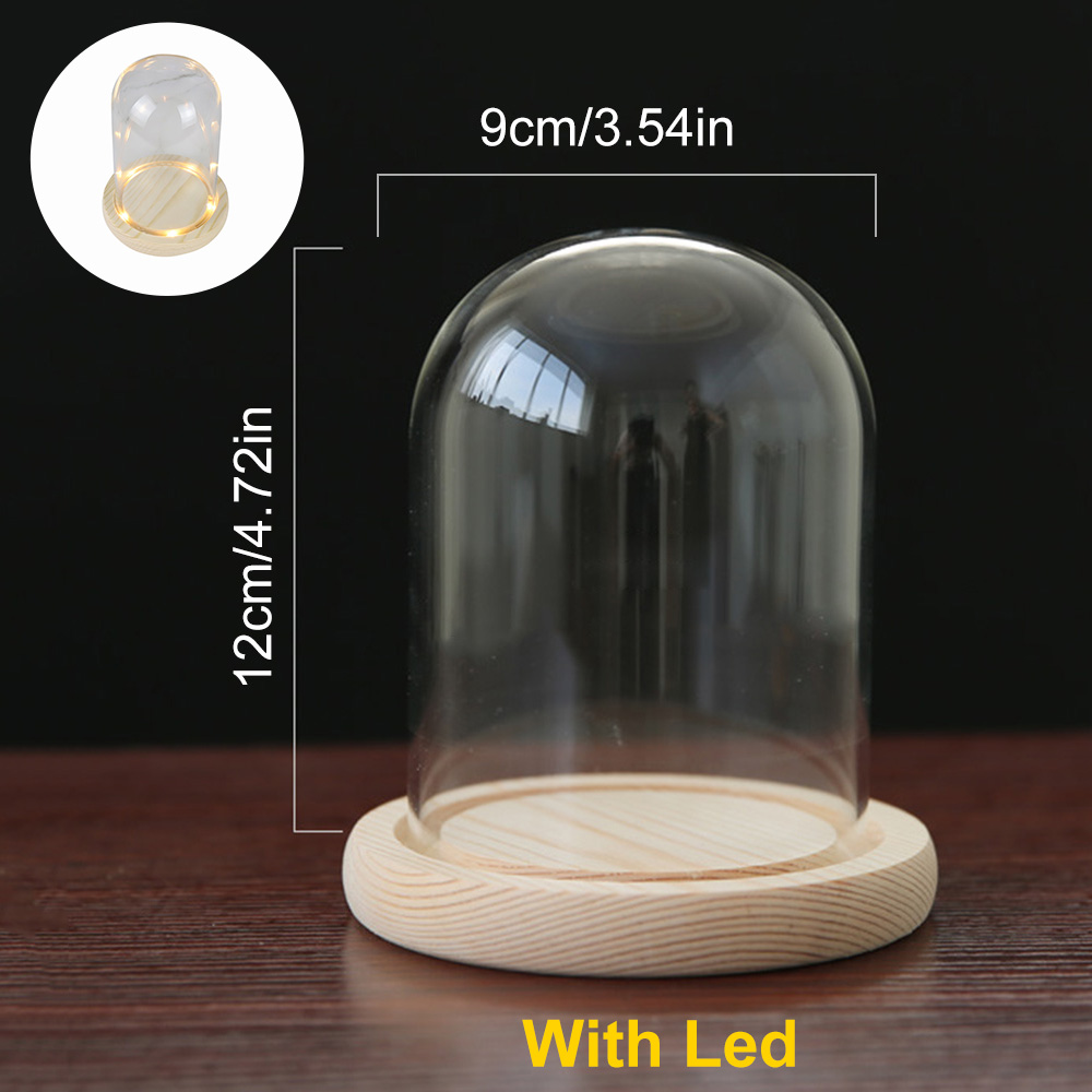 Virwir Clear Glass Cloche Dome Bell Jar Display Case with Wooden LED