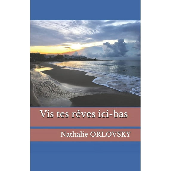 Vis tes rêves : Ici-bas (Paperback)