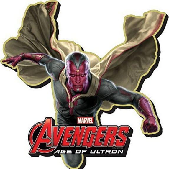 Vision Chunky Magnet