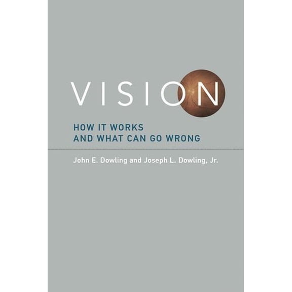 Pre-Owned Vision: How it Works and What Can Go Wrong (The MIT Press) Paperback