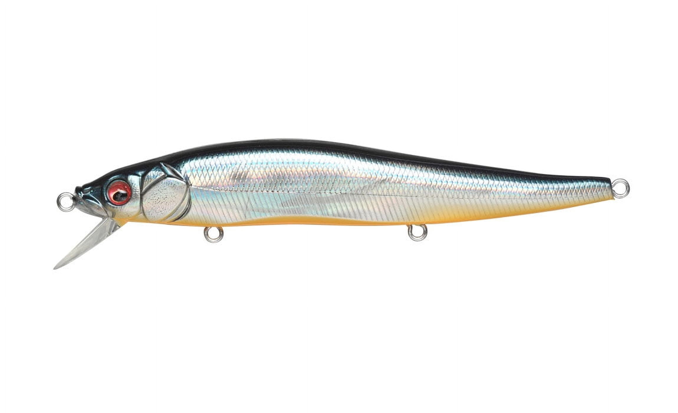 Vision Oneten GG Deadly Black Shad IL ONETEN