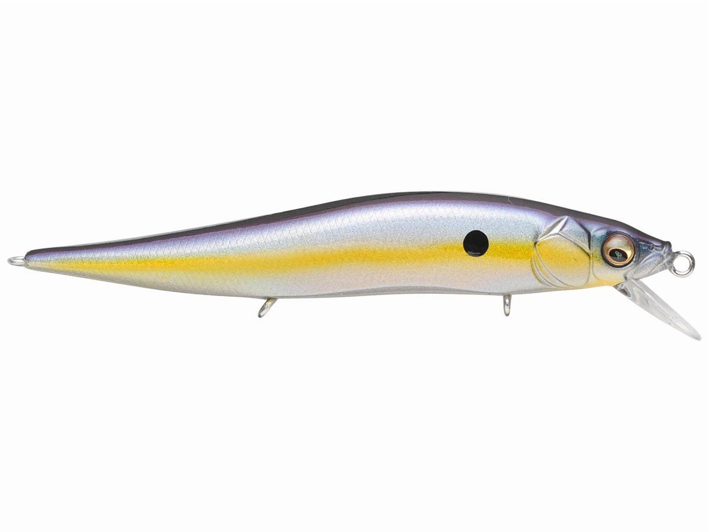 Vision Oneten Jr Megabass Sexy Shad