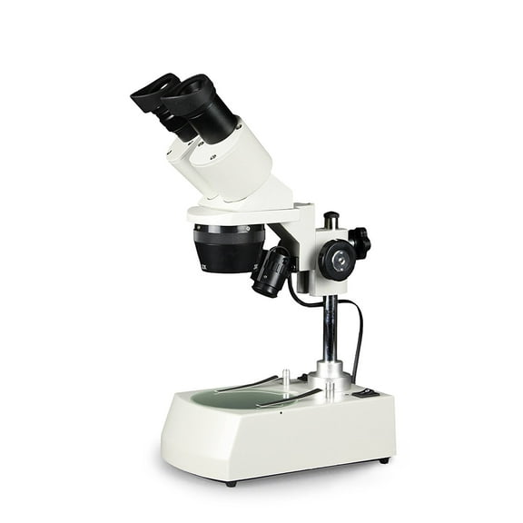 Vision Scientific Binocular Stereo Microscope, 2x, 3x, 4x Objectives, Pair of 10x and 20x WF Eyepieces, 20X - 80X Magnification, LED Illumination, Post-Mounted Stand, Cordless Rechargeable Battery