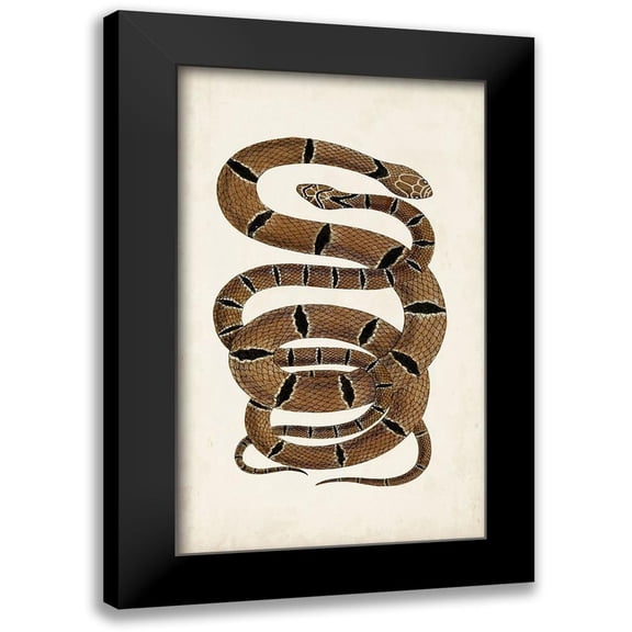 Vision Studio 10x14 Black Modern Framed Museum Art Print Titled - Antique Snakes III