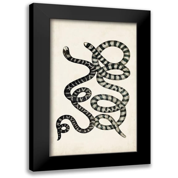 Vision Studio 10x14 Black Modern Framed Museum Art Print Titled - Antique Snakes VI