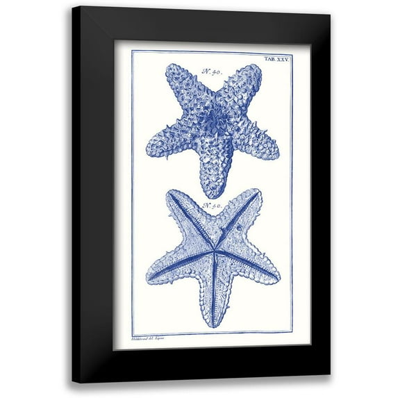 Vision Studio 10x14 Black Modern Framed Museum Art Print Titled - Blue Sea Stars IV