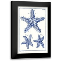 Vision Studio 10x14 Black Modern Framed Museum Art Print Titled - Blue Sea Stars V