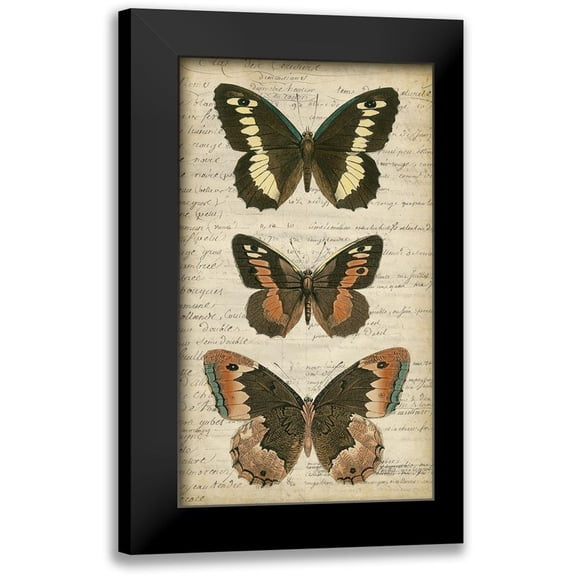 Vision Studio 10x14 Black Modern Framed Museum Art Print Titled - Butterfly Script I