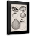 thumbnail image 1 of Vision Studio 10x14 Black Modern Framed Museum Art Print Titled - Charcoal and Linen Shells IX, 1 of 5