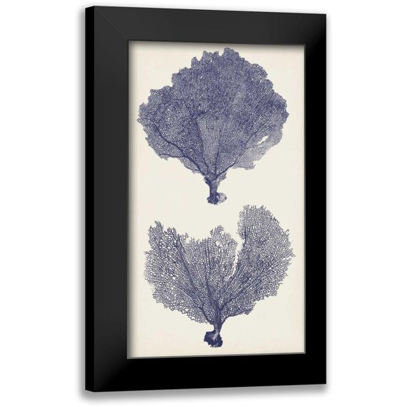 Vision Studio 10x14 Black Modern Framed Museum Art Print Titled - Indigo Seafans II
