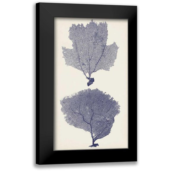 Vision Studio 10x14 Black Modern Framed Museum Art Print Titled - Indigo Seafans I