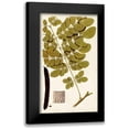 thumbnail image 1 of Vision Studio 10x14 Black Modern Framed Museum Art Print Titled - Leaf Varieties I, 1 of 5