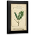 thumbnail image 1 of Vision Studio 10x14 Black Modern Framed Museum Art Print Titled - Linnaean Botany IV, 1 of 5