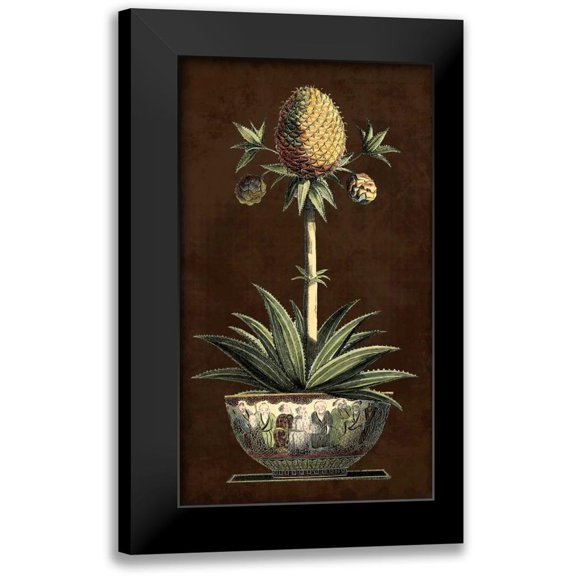 Vision Studio 10x14 Black Modern Framed Museum Art Print Titled - Potted Pineapple I