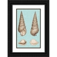 thumbnail image 1 of Vision Studio 10x14 Black Ornate Wood Framed with Double Matting Museum Art Print Titled - Sepia And Aqua Shells I, 1 of 4