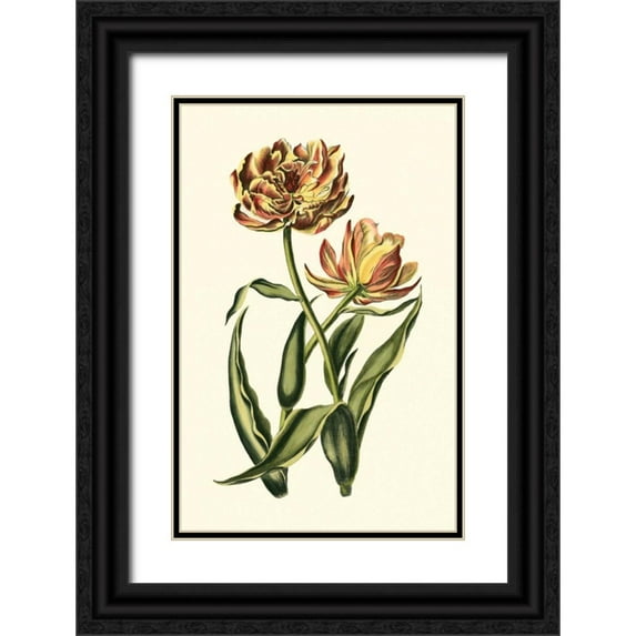 Vision Studio 10x14 Black Ornate Wood Framed with Double Matting Museum Art Print Titled - Vintage Tulips IV