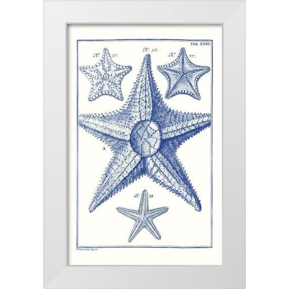 Vision Studio 10x14 White Modern Wood Framed Museum Art Print Titled - Blue Sea Stars VI