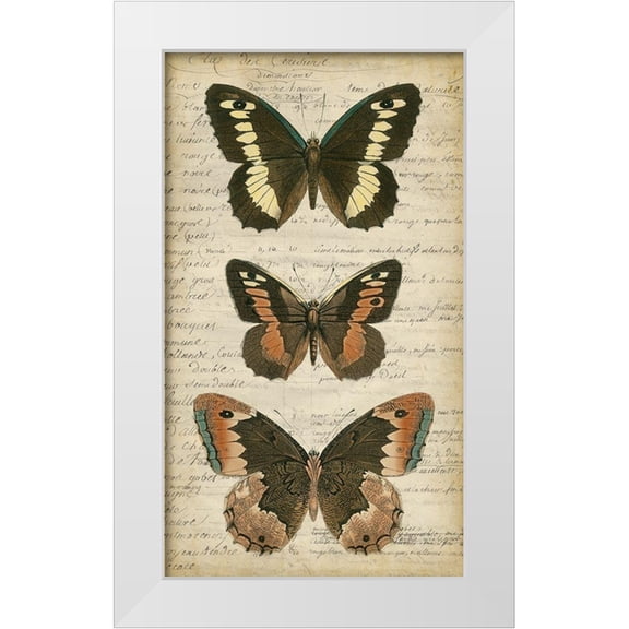 Vision Studio 10x14 White Modern Wood Framed Museum Art Print Titled - Butterfly Script I