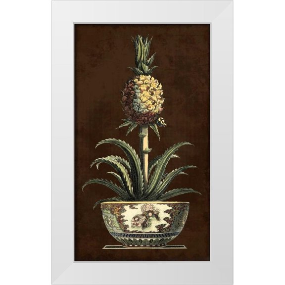 Vision Studio 10x14 White Modern Wood Framed Museum Art Print Titled - Potted Pineapple II