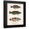 thumbnail image 1 of Vision Studio 11x14 Black Modern Framed Museum Art Print Titled - Antique Fish Trio I, 1 of 5