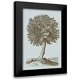 thumbnail image 1 of Vision Studio 11x14 Black Modern Framed Museum Art Print Titled - Antique Tree in Sepia I, 1 of 5
