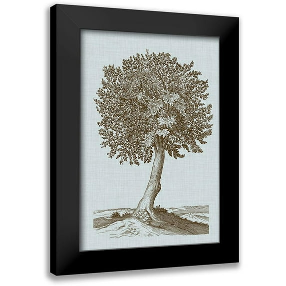 Vision Studio 11x14 Black Modern Framed Museum Art Print Titled - Antique Tree in Sepia I
