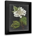 thumbnail image 1 of Vision Studio 11x14 Black Modern Framed Museum Art Print Titled - Dramatic White Flowers III, 1 of 5