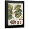 thumbnail image 1 of Vision Studio 11x14 Black Modern Framed Museum Art Print Titled - Exotic Botanique II, 1 of 5