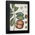 thumbnail image 1 of Vision Studio 11x14 Black Modern Framed Museum Art Print Titled - Exotic Botanique IV, 1 of 5